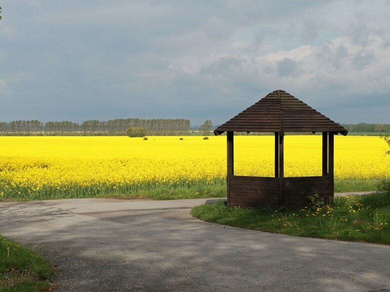 Cozy Apartment In Wischuer With Sauna