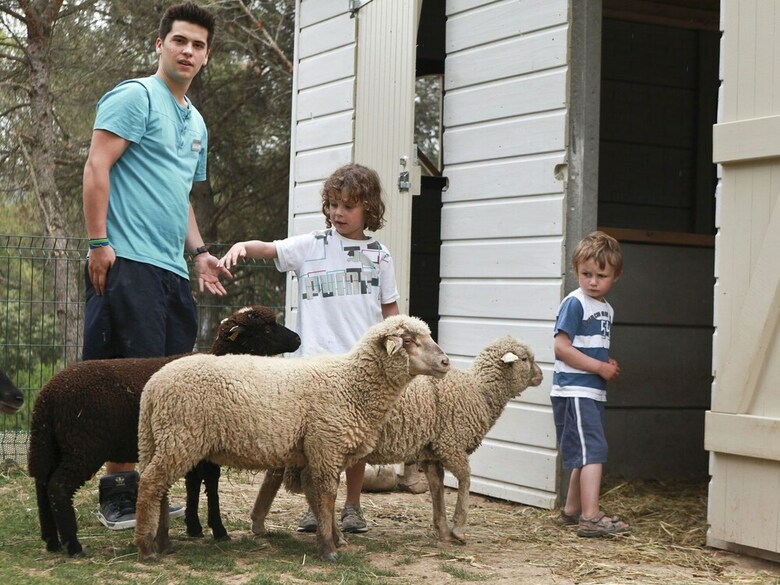 Comfortable Apartment Located In Authentic Provencal Village