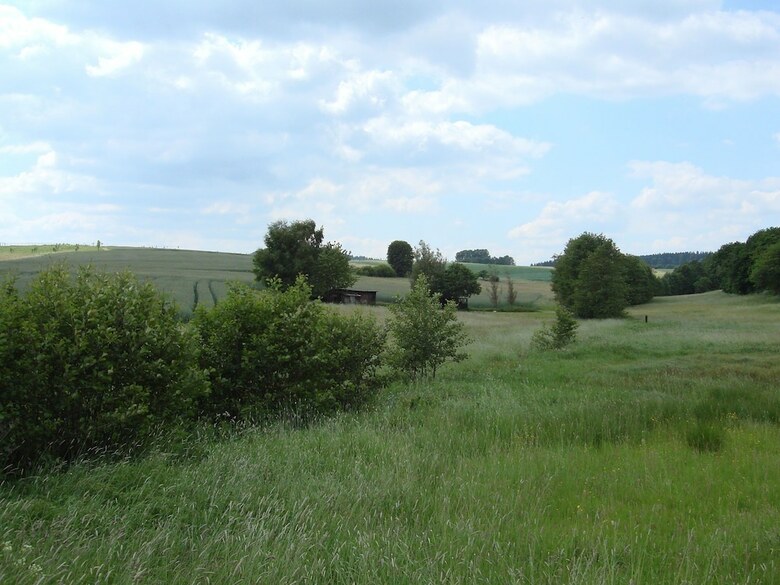 Cozy Holiday Home In Hallenberg With Terrace