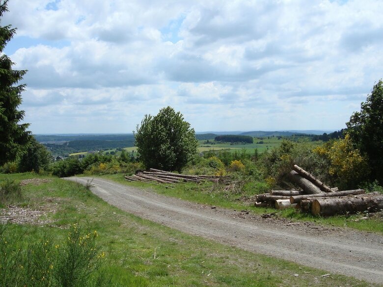 Cozy Holiday Home In Hallenberg With Terrace