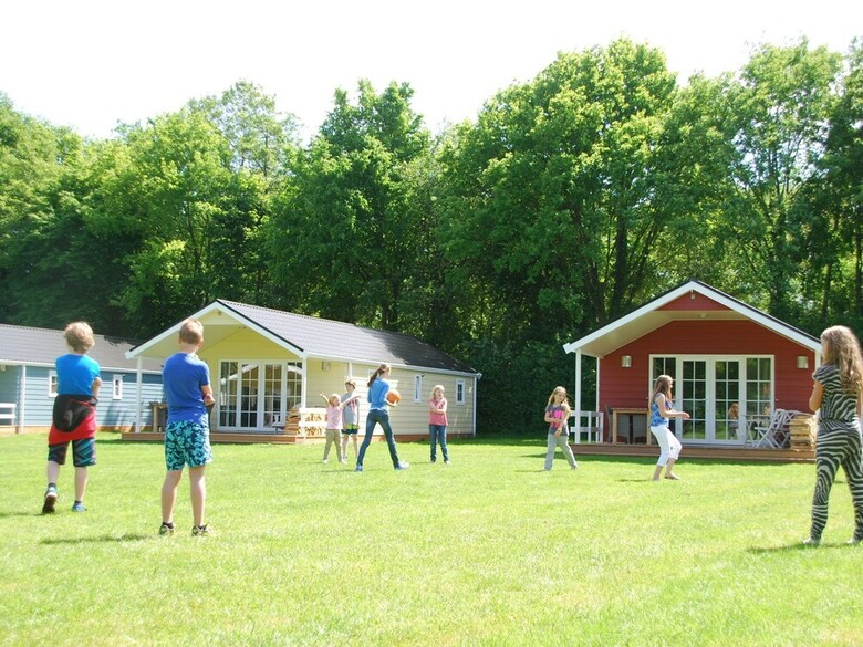Cozy Lodge With Dishwasher, In The Nice Achterhoek
