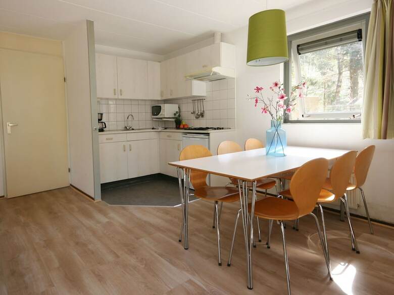Well-kept Bungalow With A Fireplace In The Veluwe