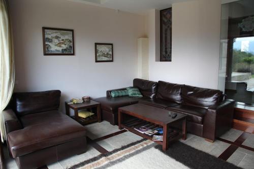Luxury Villa Bansko