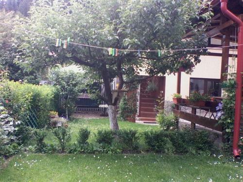 Hostal Pensiunea Sebastian