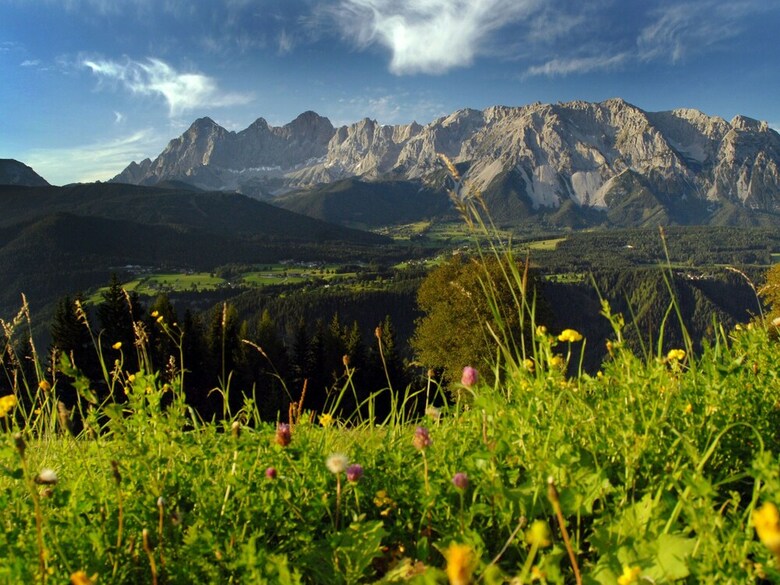 Spacious Apartment In Ramsau Am Dachstein With Swimming Pool