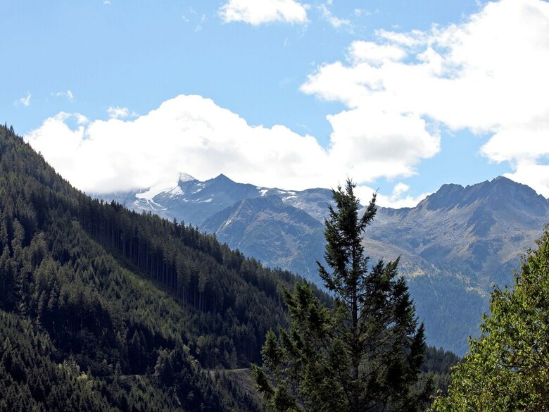 Luxurious Chalet In Wald Im Pinzgau With Sauna