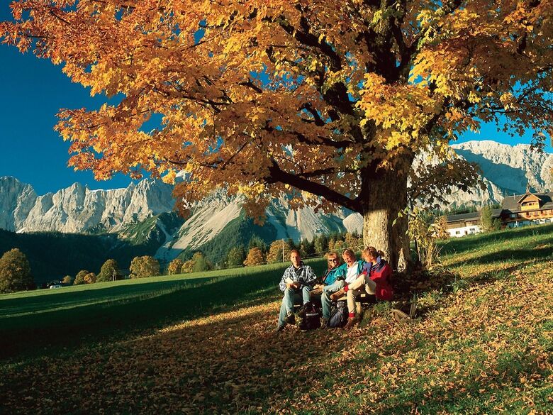 Warm Apartment In Ramsau Am Dachstein With Garden