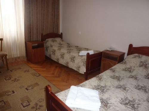 Hotel Pushkinskaya