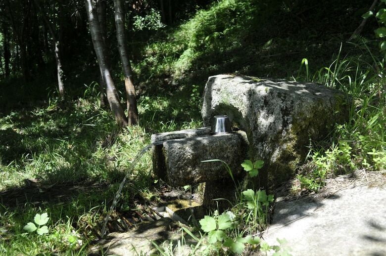 Hostal Albergue Tur�stico Alvarella