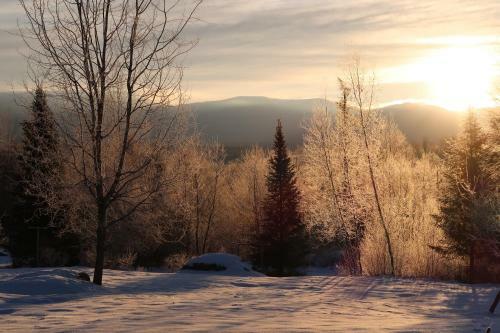 Lodge Robert Frost Mountain Cabins