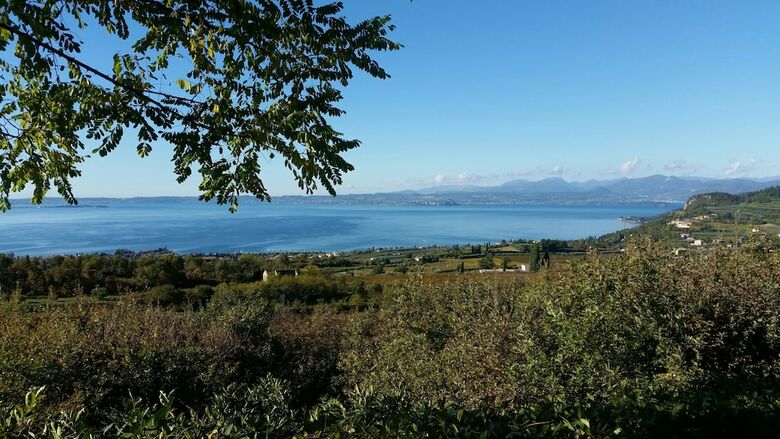 Apartamento Residence Ai Vigneti With Pool