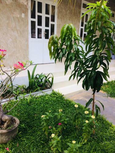 Bed & Breakfast Lam Long Luan Homestay