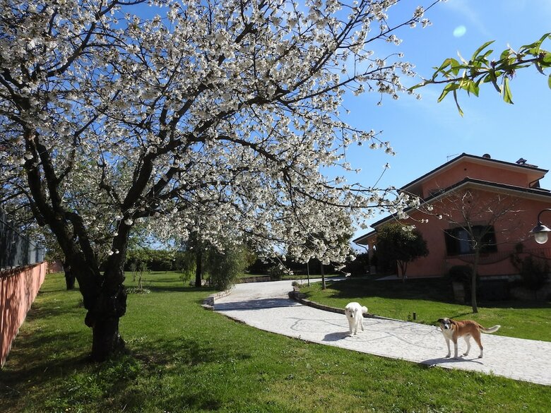 Apartamento Alloggio Turistico Confortevole Passo Co