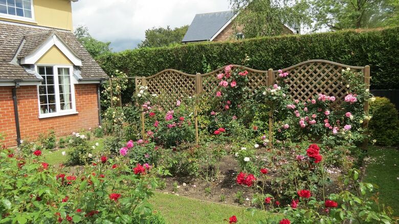 Bed & Breakfast Newmans Lodge