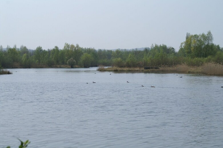 Villa Lodge Des Bruyeres