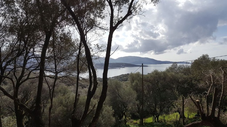 R�sidence A Tribbia