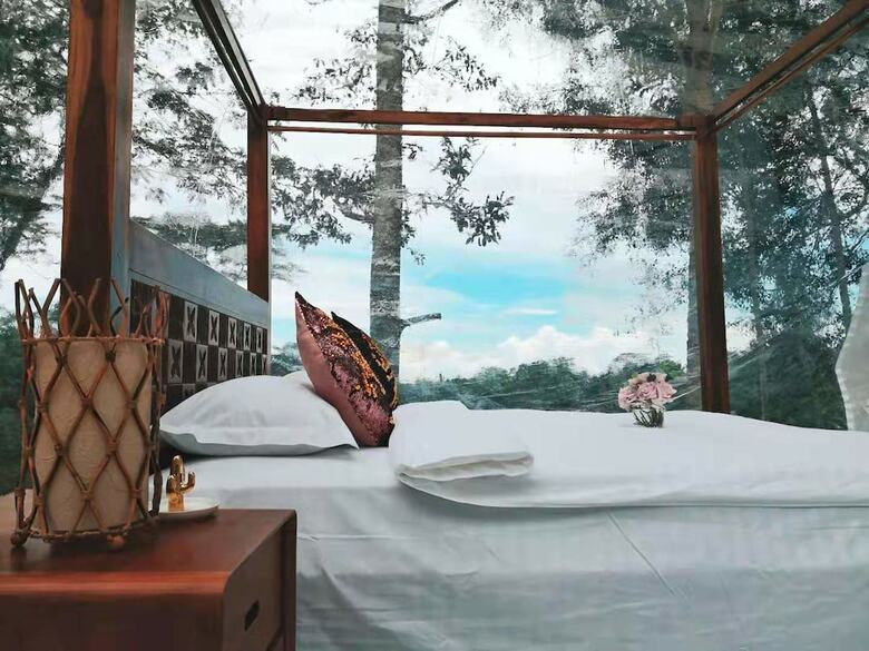 Jungle Bubble Lodge Ubud - Campsite