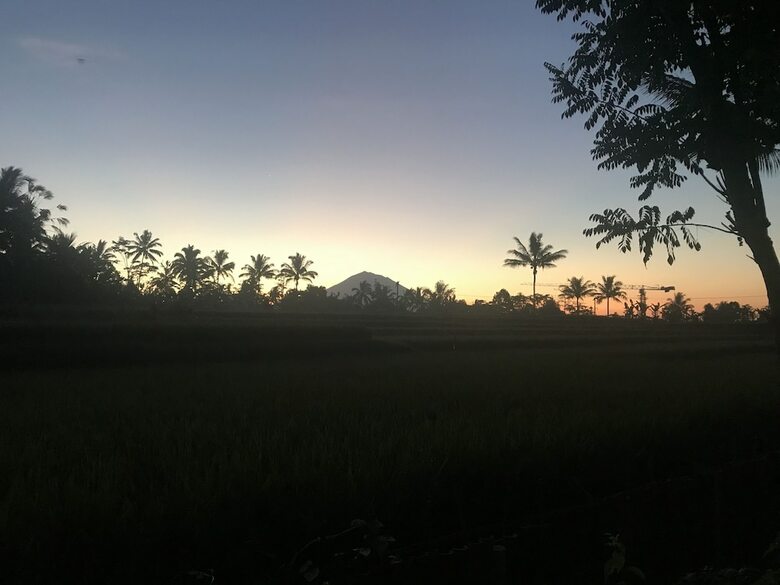 Jungle Bubble Lodge Ubud - Campsite