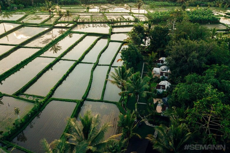 Jungle Bubble Lodge Ubud - Campsite