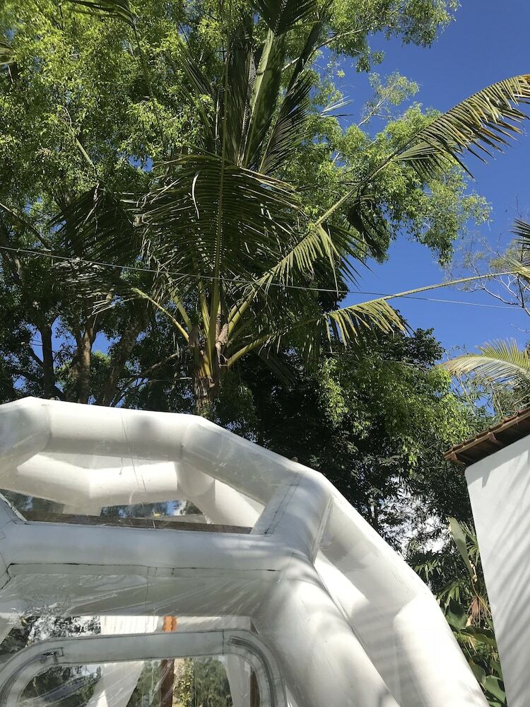 Jungle Bubble Lodge Ubud - Campsite