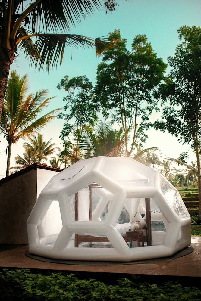 Jungle Bubble Lodge Ubud - Campsite