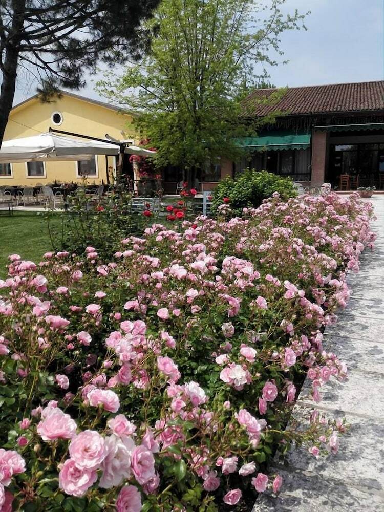 Agroturismo Agriturismo La Borina