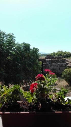 Hostal Porta Aurea