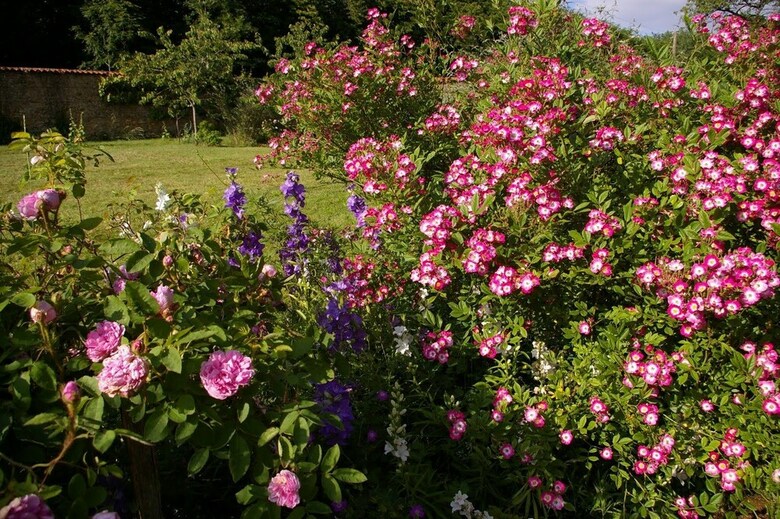 Proche Puy Du Fou - Roches Blanches
