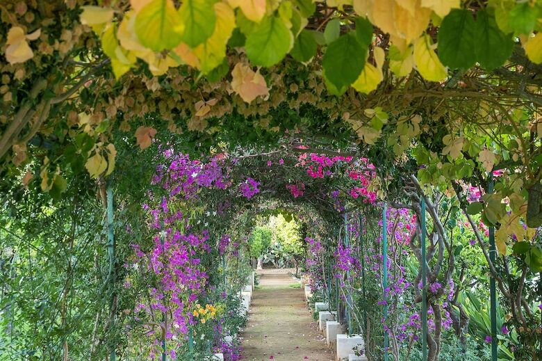 Villa Il Giardino Ritrovato