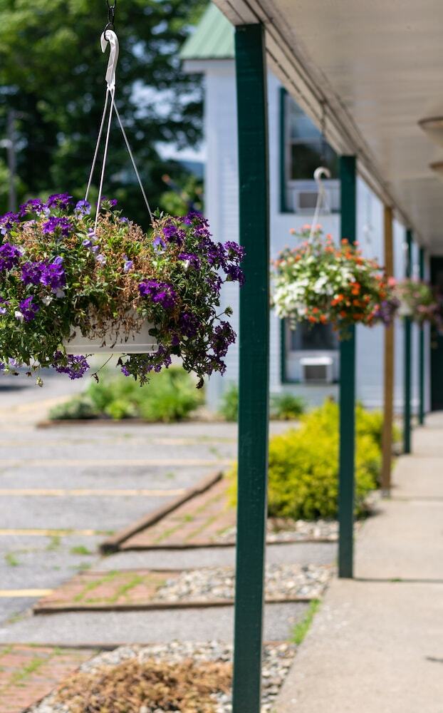 Hotel The Lodge At West River