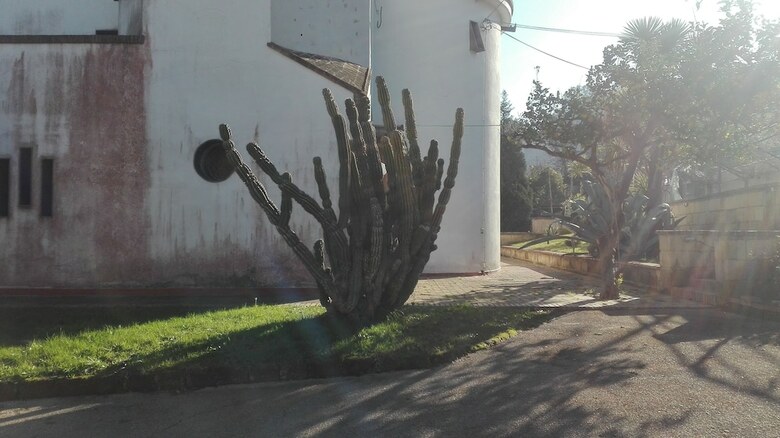 B&B Il Castagnaro