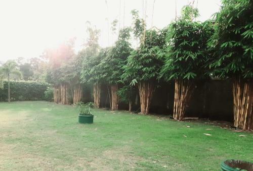 Hotel Kanora Lake Resort