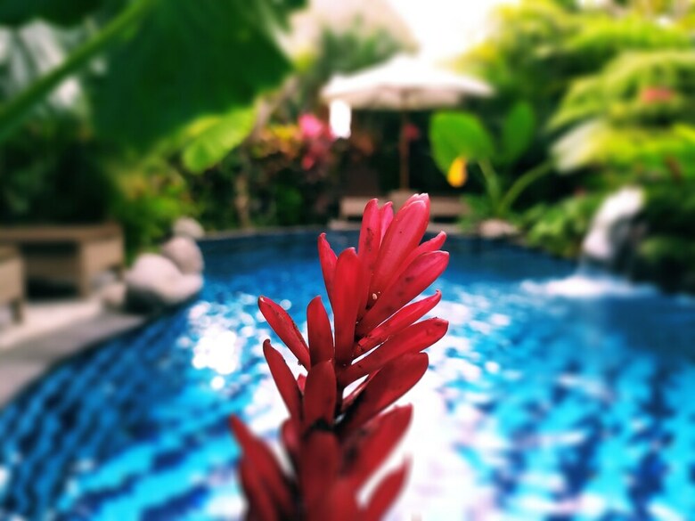 Bed & Breakfast Gopala Luxury Villa Ubud