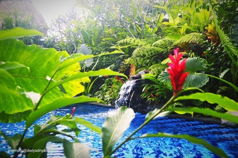 Bed & Breakfast Gopala Luxury Villa Ubud