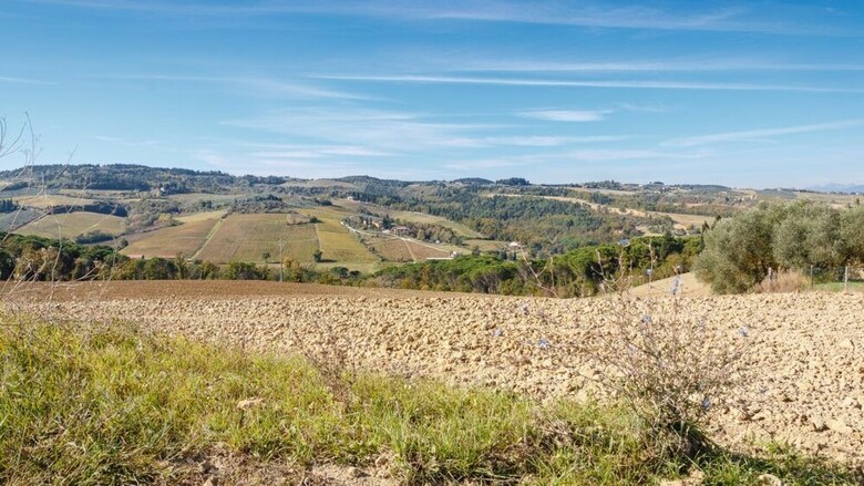 Agroturismo Podere Dell'anselmo