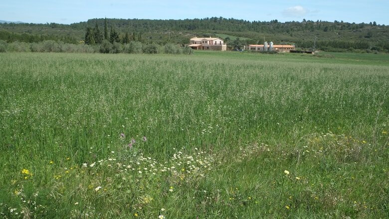 Agroturismo La Masia de Montpedr�s