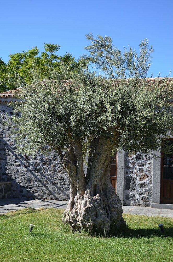 Agroturismo Bosco Ciancio