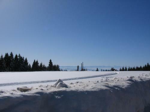 Apartamento Villa Kostic Kopaonik
