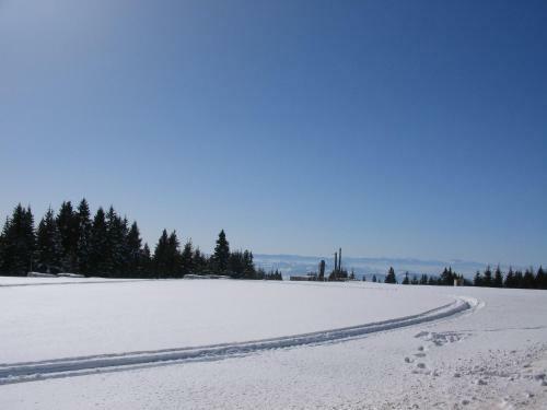 Apartamento Villa Kostic Kopaonik