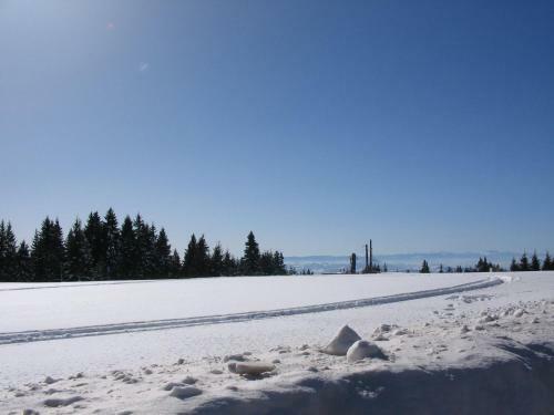 Apartamento Villa Kostic Kopaonik