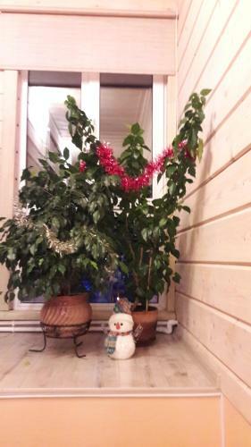 Hostal Voskresenskaya Dacha