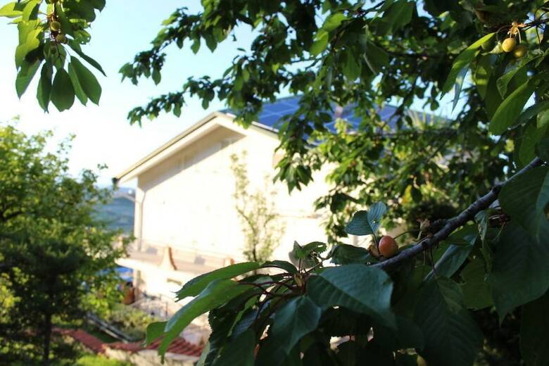 Bed & Breakfast Tetto Verde