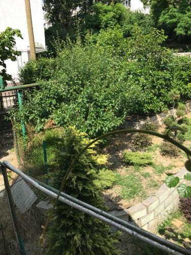 Hostal Guest House U Vadima