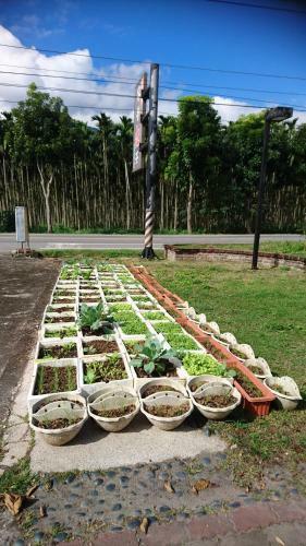 Dong Li Tea Homestay