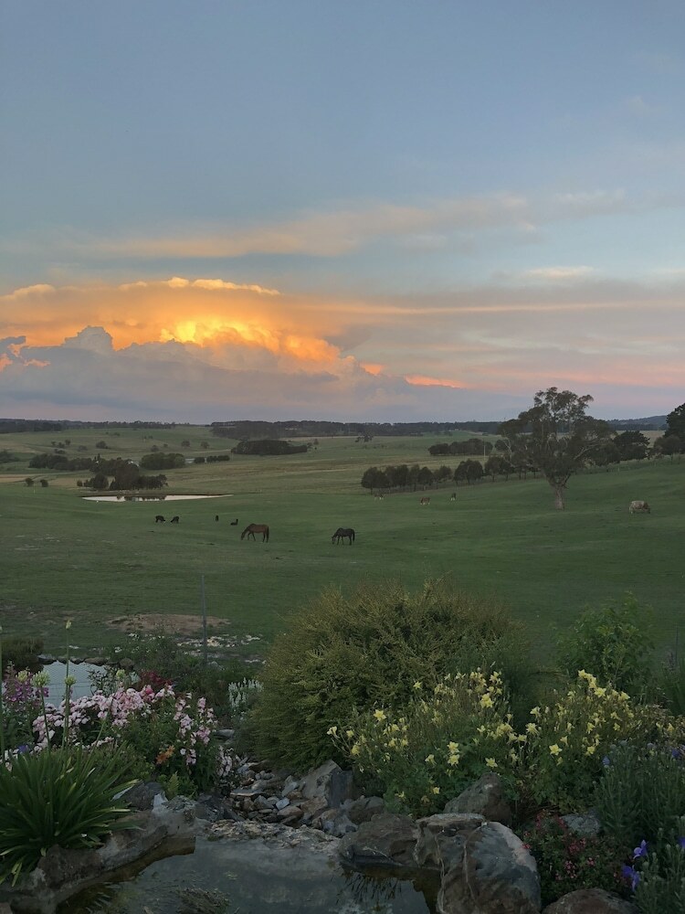 High Country Trail Rides & Farm Stay