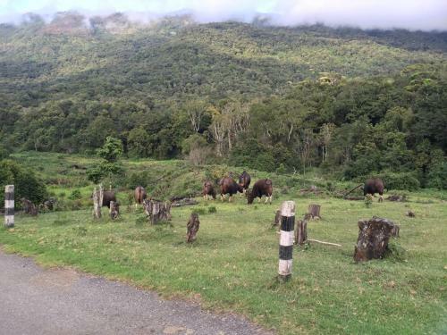 Agroturismo Nature Castle