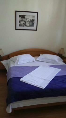 Motel Kneginja