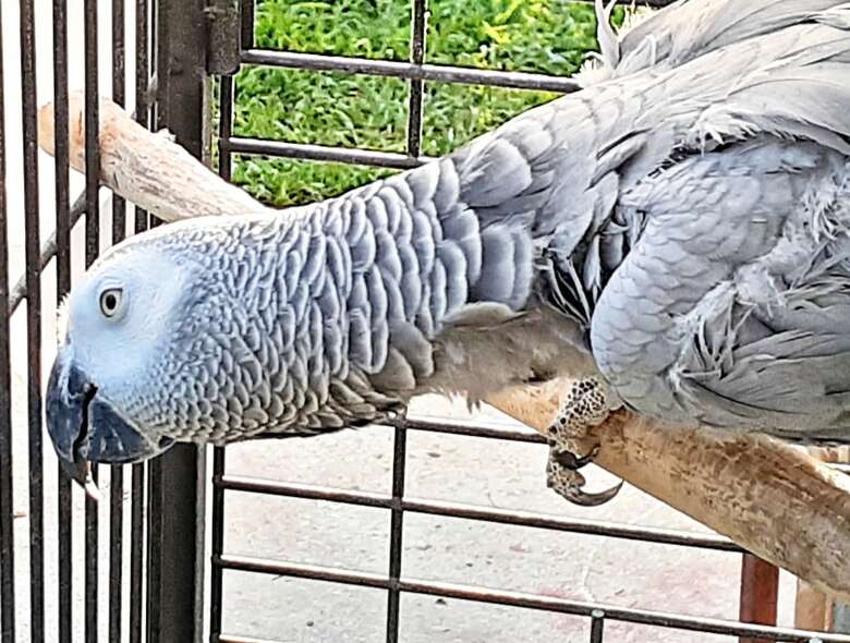 Posada The Ranch - Lodge & Equestrian Center