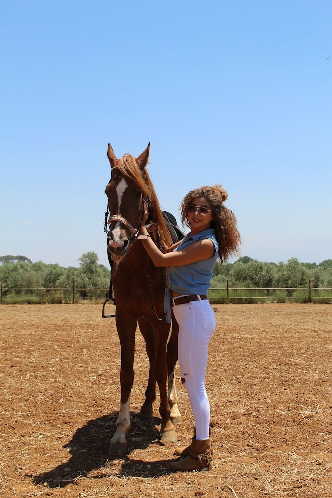 Posada The Ranch - Lodge & Equestrian Center