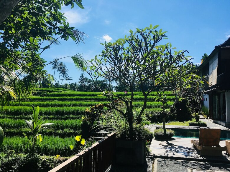 Bed & Breakfast Puri Raya Villa Ubud